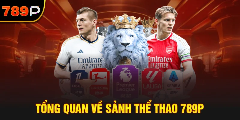 Tổng Quan Về Sảnh Thể Thao 789P